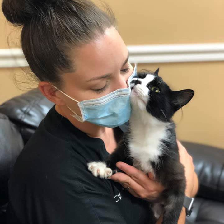 Reviews Lewis Veterinary Clinic Reviews Lewis Veterinary Clinic